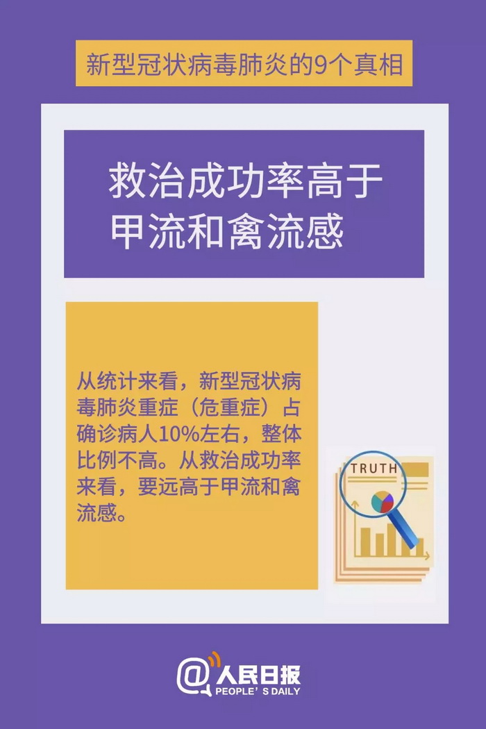 31.webp