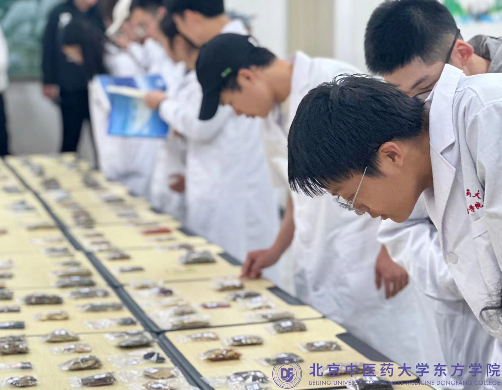 20240416xinwen10