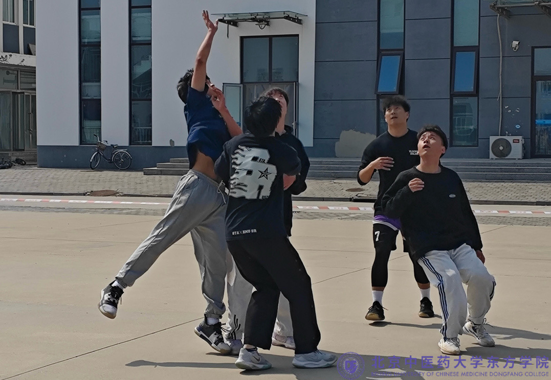 20240412xinwen06