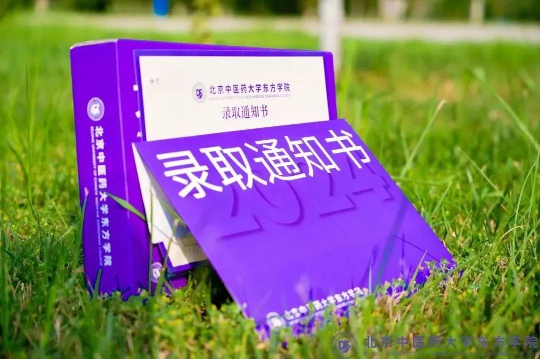 20240726xinwen06