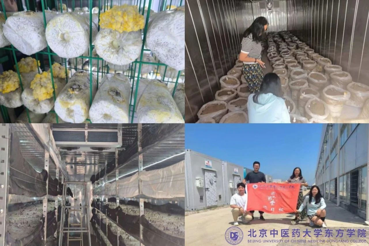 20240809xinwen03