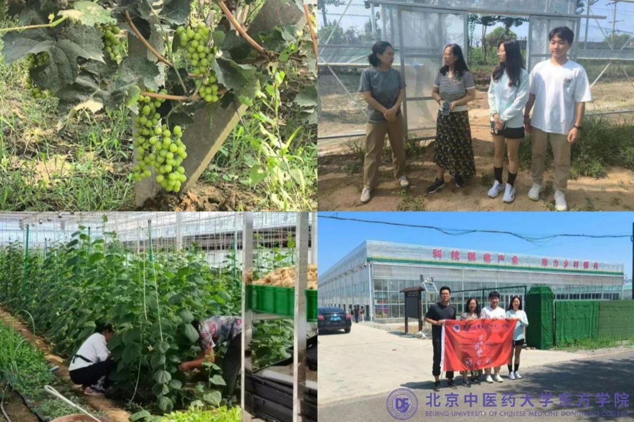 20240809xinwen04