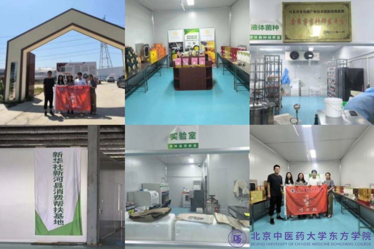 20240809xinwen05