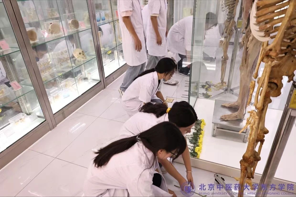 20240909xinwen06