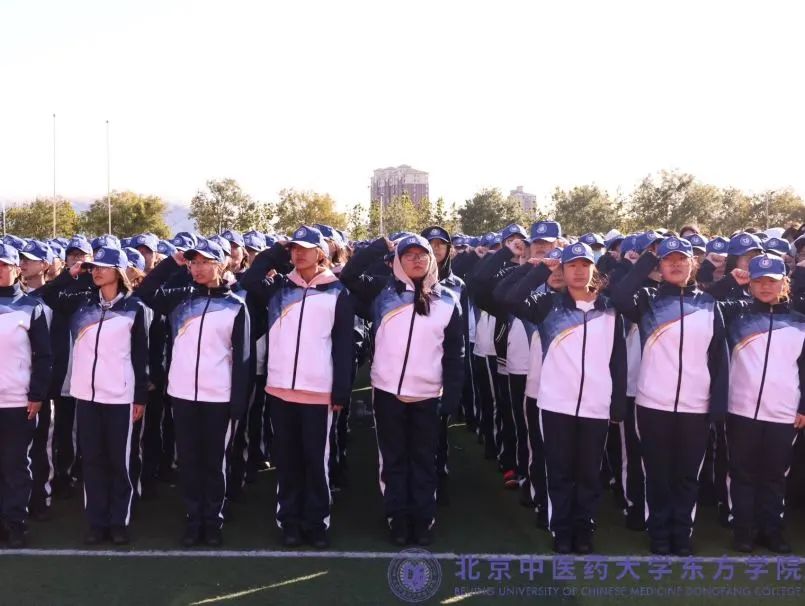 20241019xinwen13