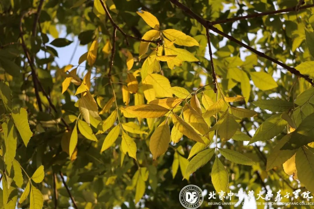 20231025xinwen01