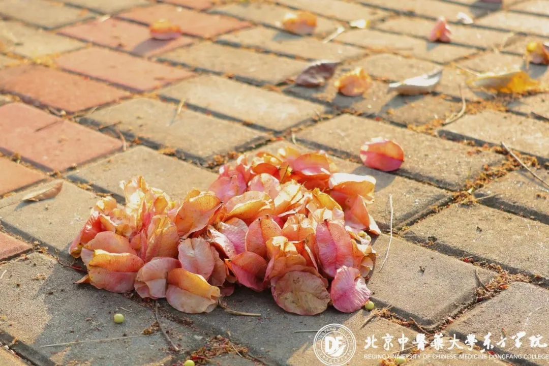 20231025xinwen02