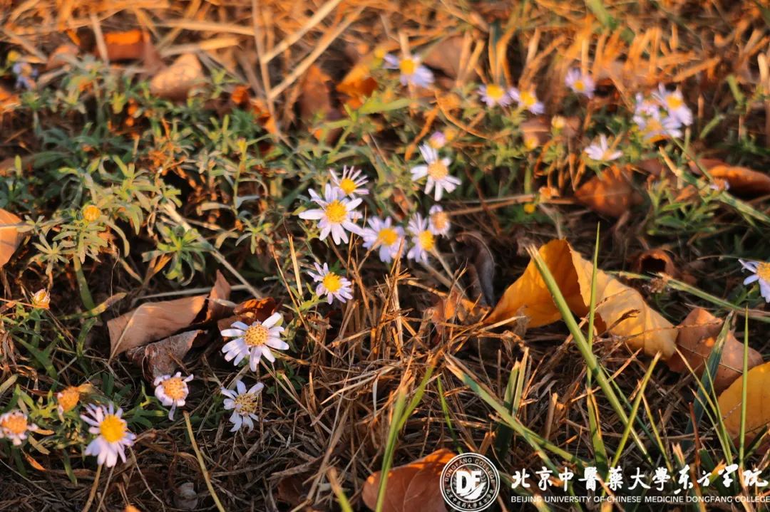 20231025xinwen05