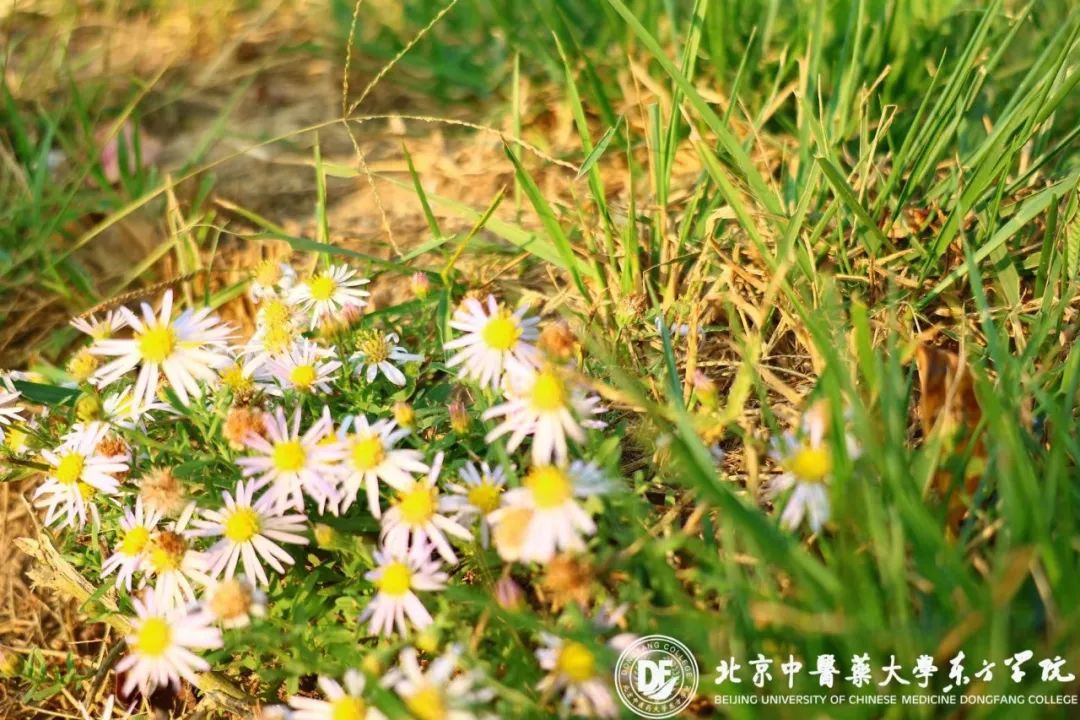 20231025xinwen07