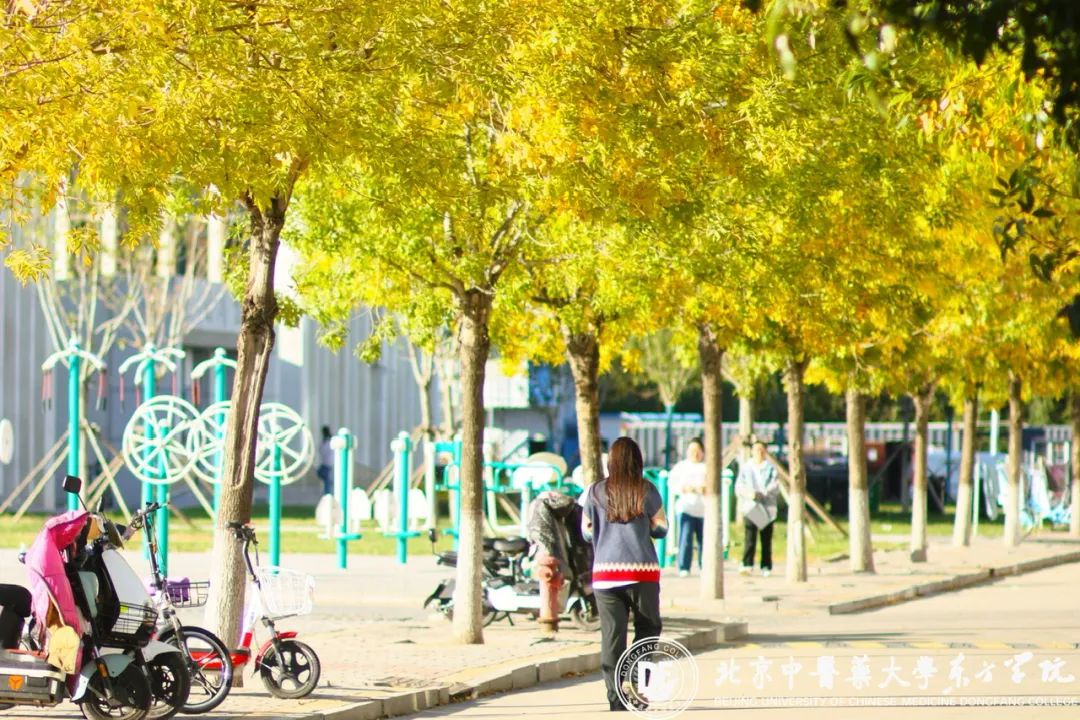20231025xinwen08