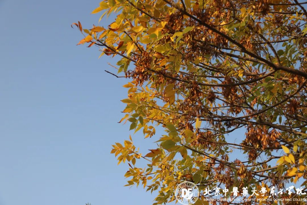 20231025xinwen10
