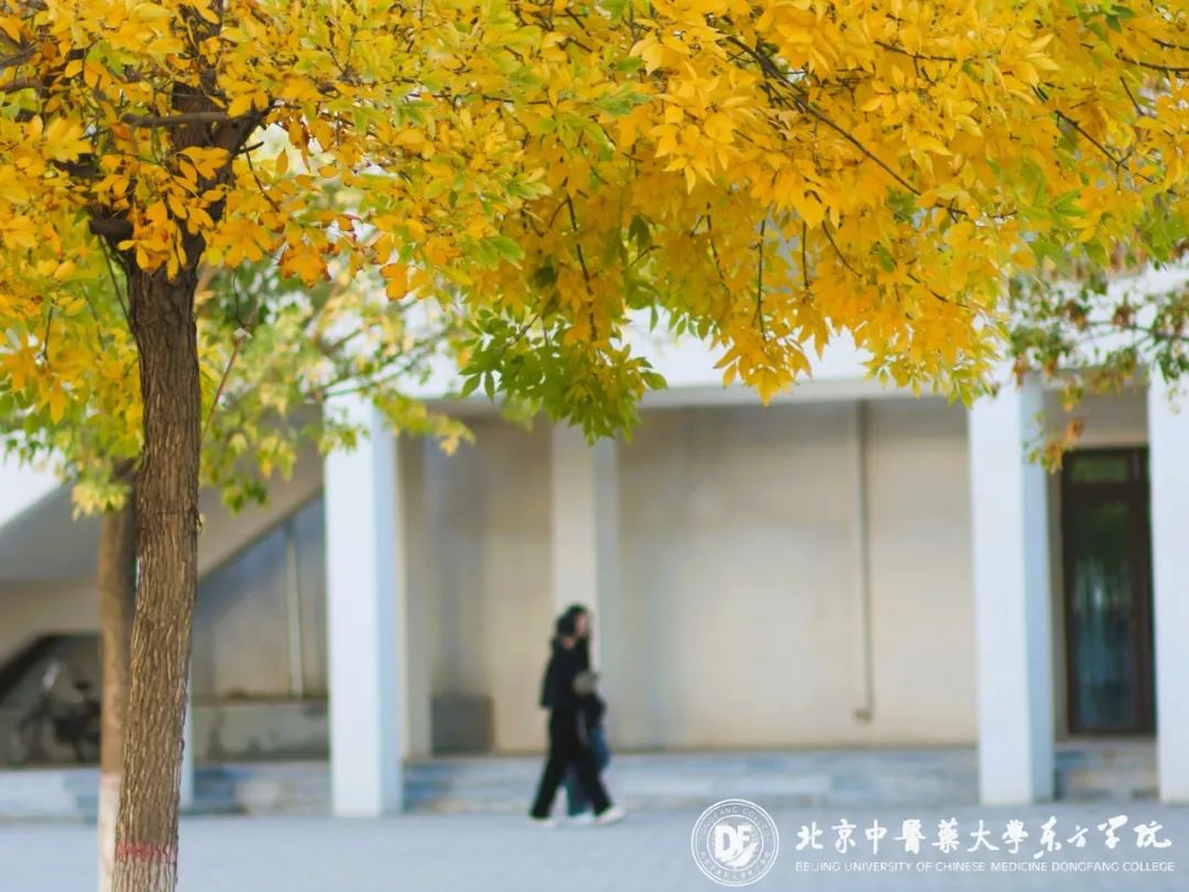 20231025xinwen11