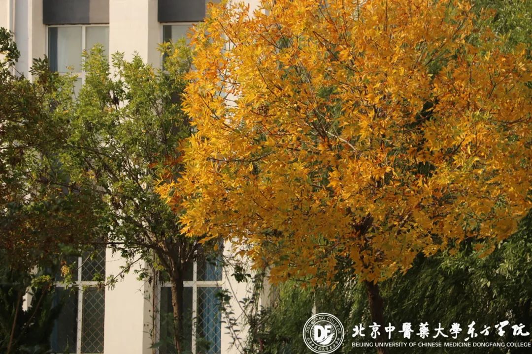 20231025xinwen12