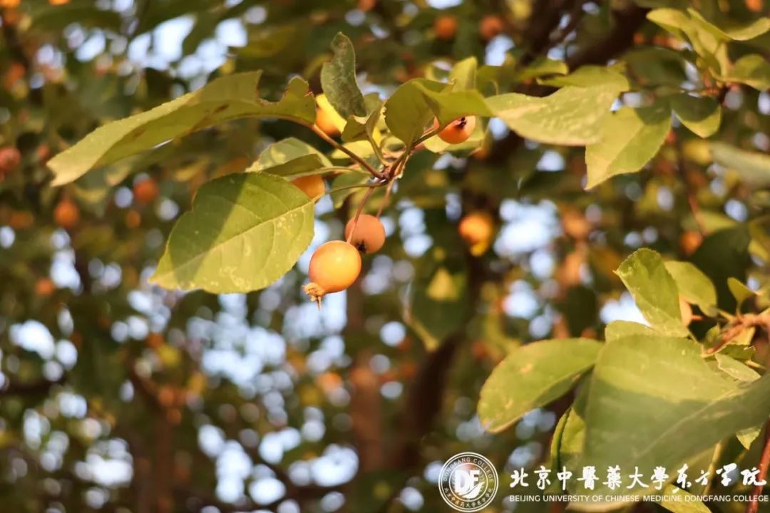 20231025xinwen19