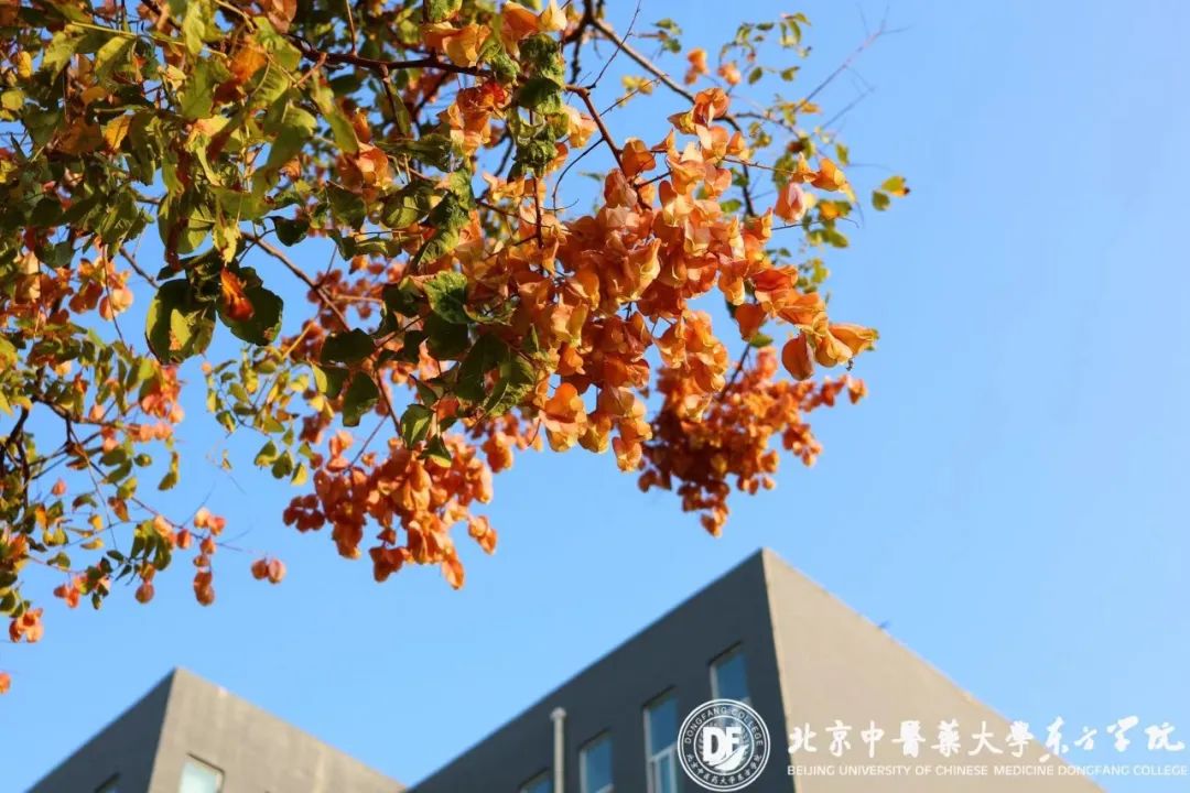 20231025xinwen20
