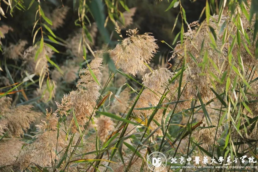 20231025xinwen21