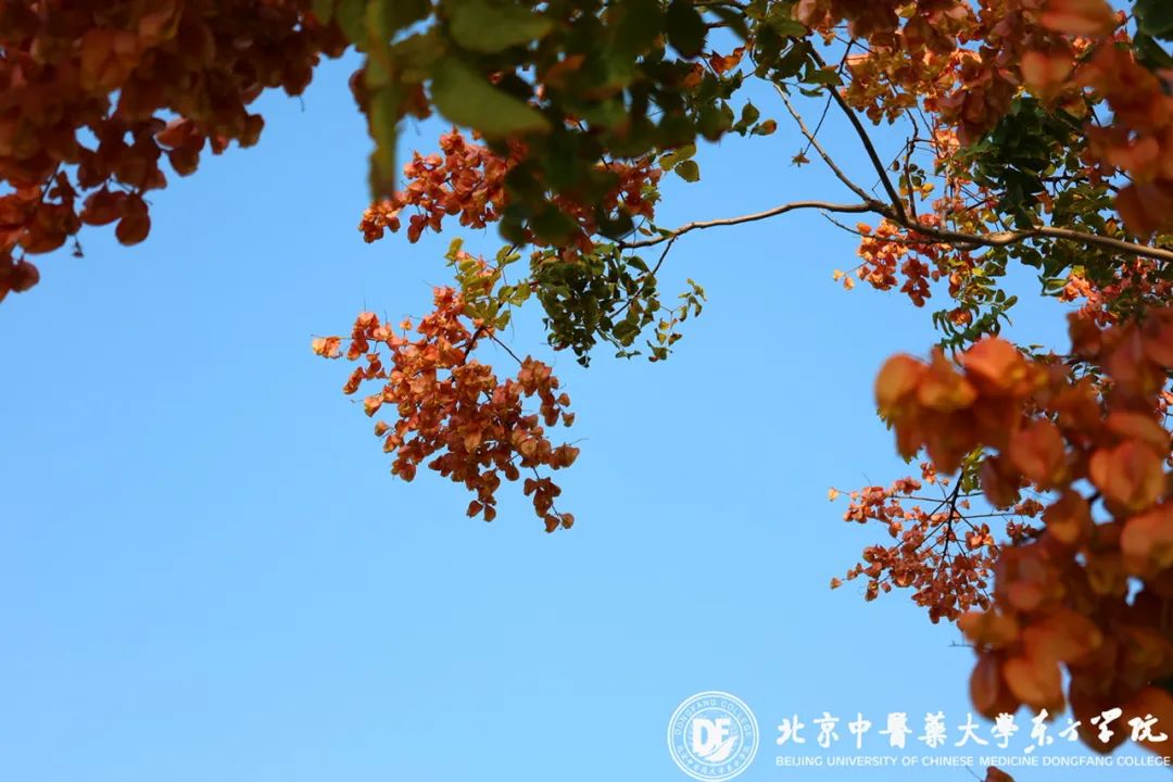 20231025xinwen24