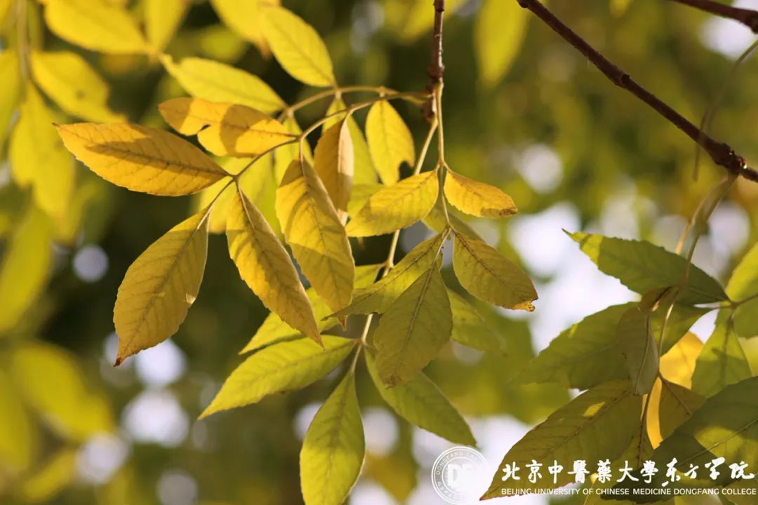 20231025xinwen26