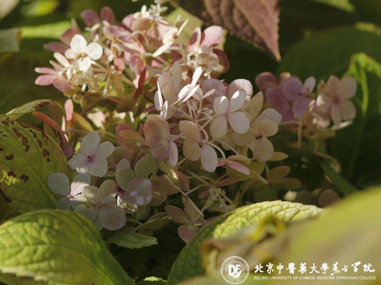 20231113xinwen13