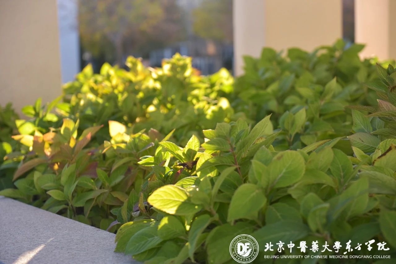 20231113xinwen14