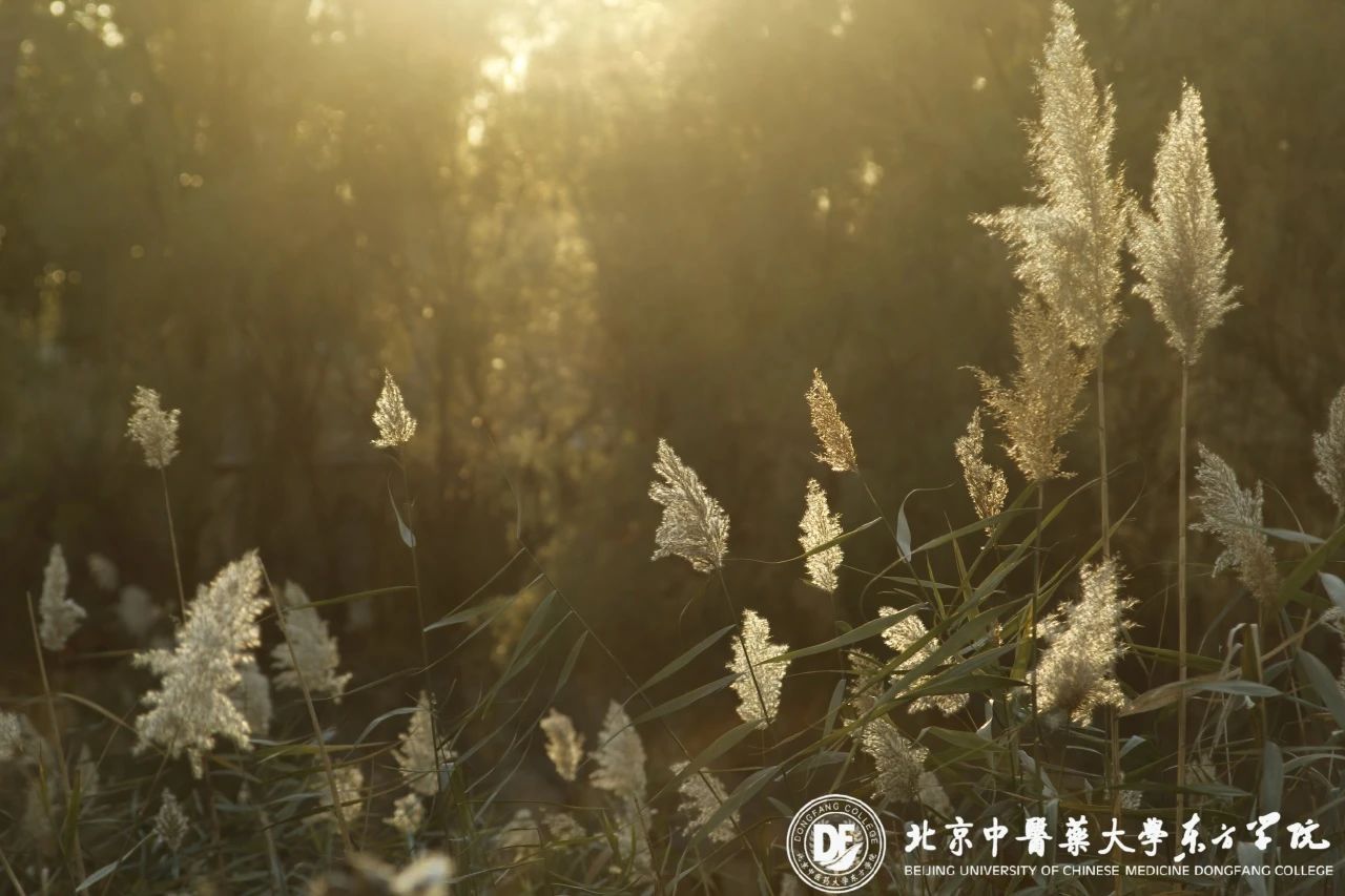 20231113xinwen16