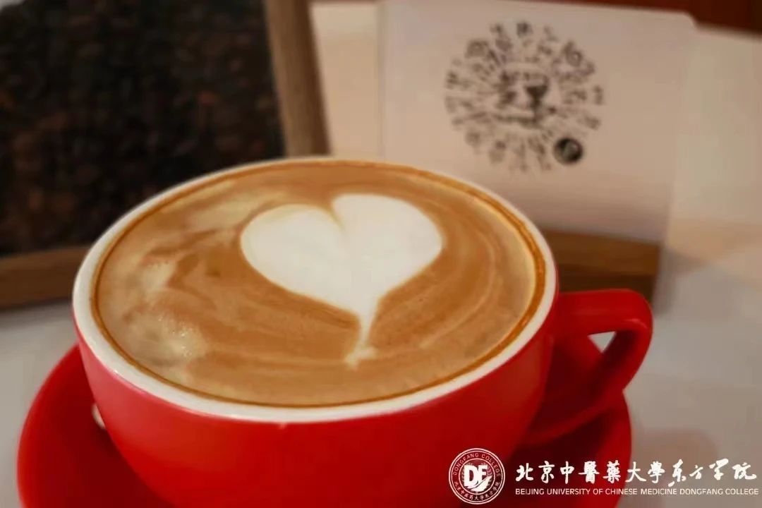 20231116xinwen11
