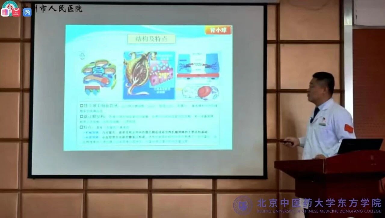 6e02ce27738fe2e55ec96b653a64c049