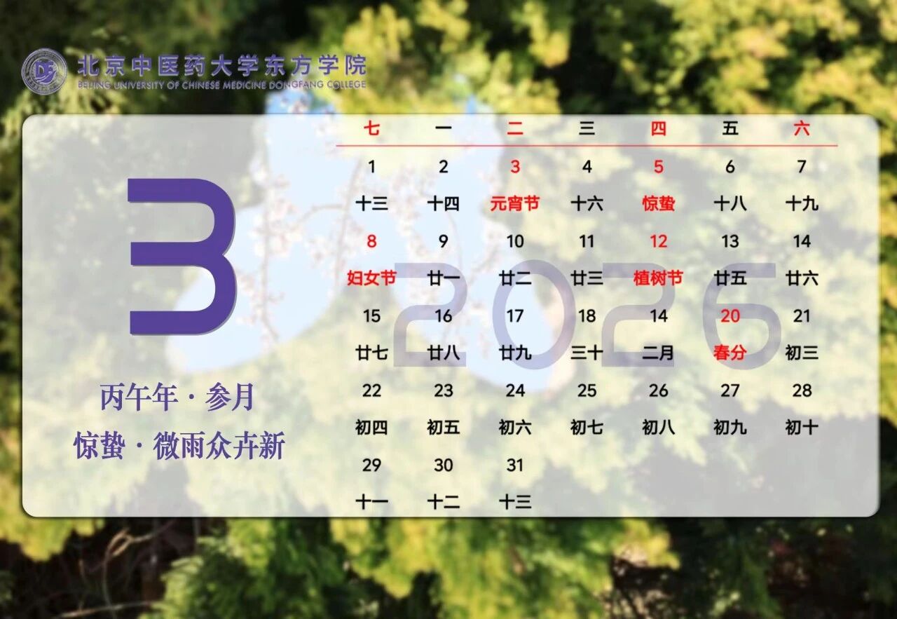 b6a26d97864ad30a5dcfdd85a9c86e5f