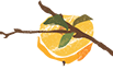 c75601ecba2d00d48e36b91e651a3468