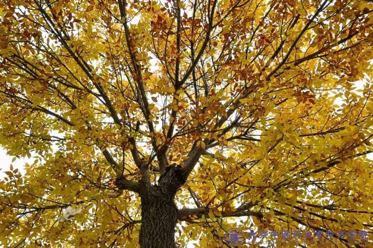 1825590a9dc06c9087db3f51e9c1421c