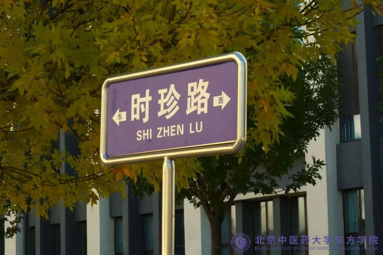 1f9dad1c8d836cc1e29a21f2114feaa7