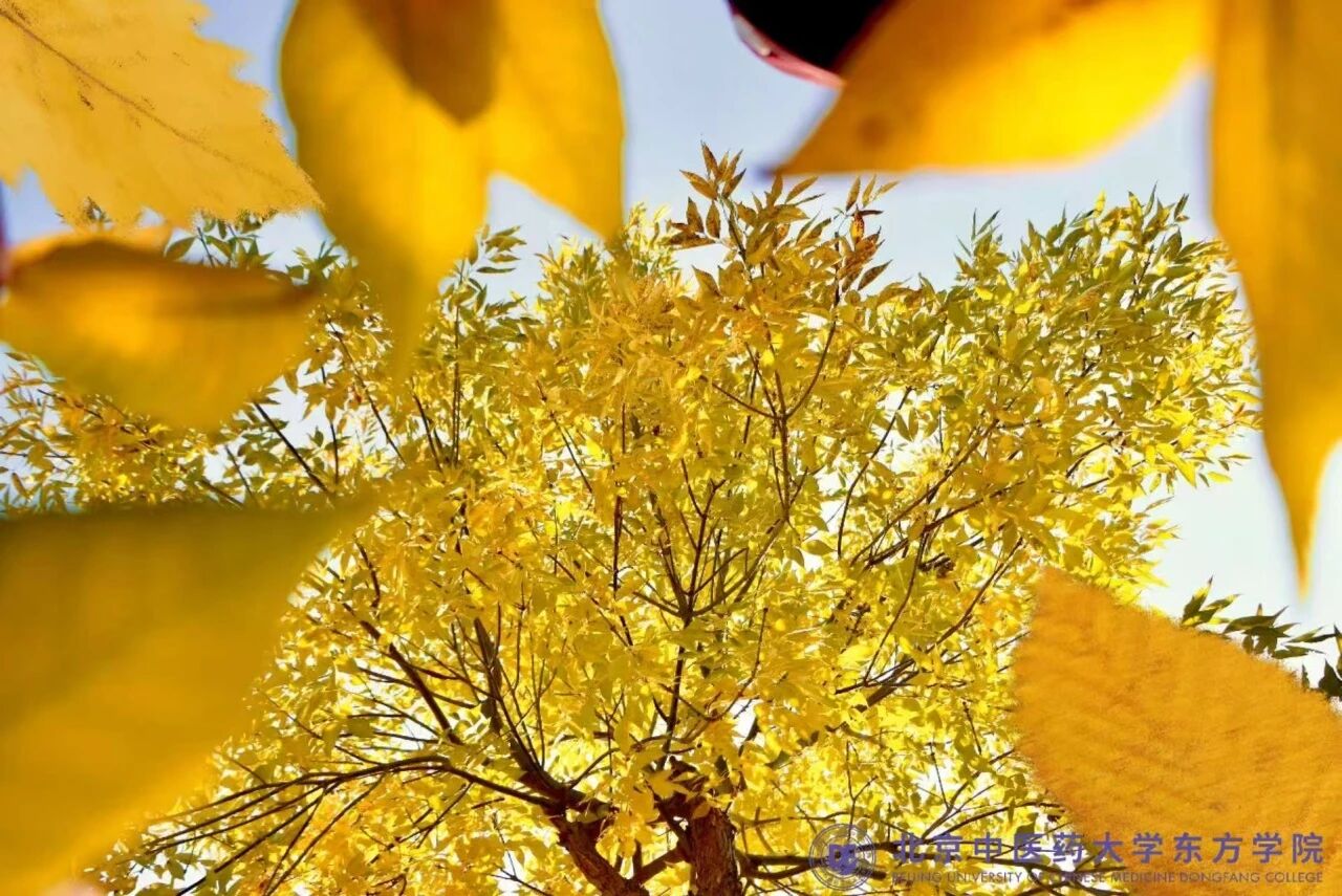 2b714db042c5a5f23d2db934495450b2