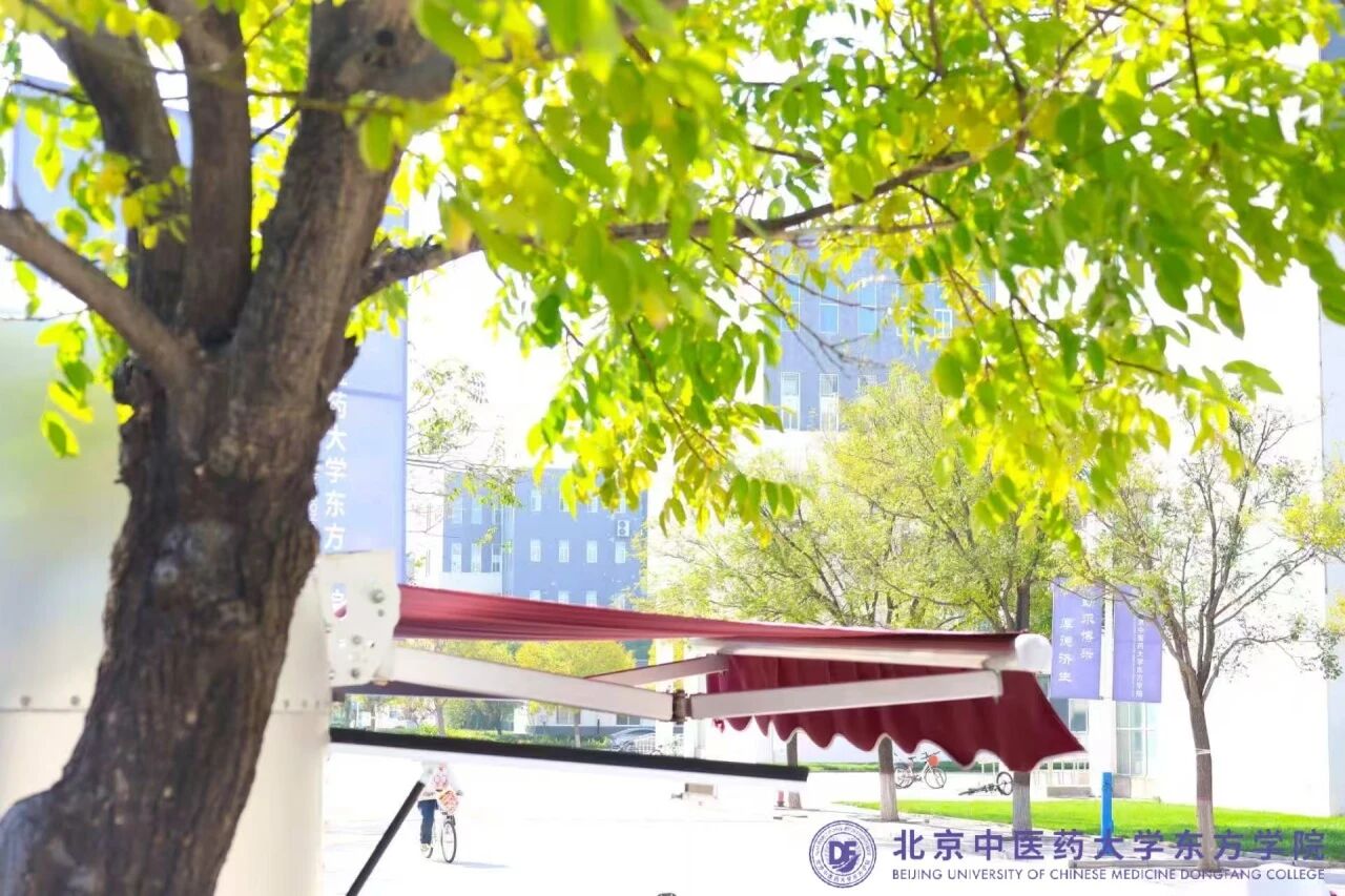 6d9d19e05bb11982a642172ff48ae8f3