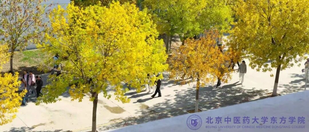 a40feefe33401c2e941183dfd45142a0