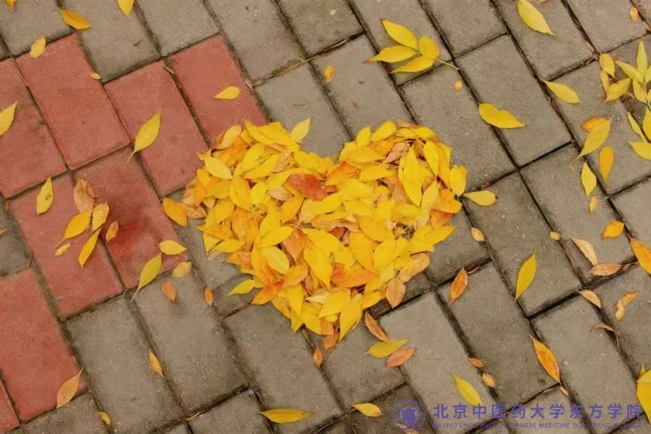 ce480faba1e316ba9f4875ebbb53e609