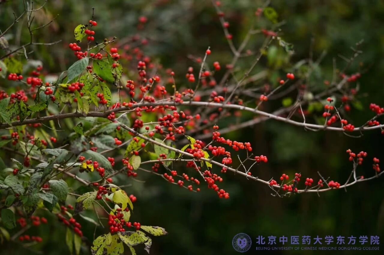 ed7fab7ea0621c8491c9af6045c43884